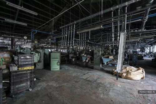 当艺术凝视深渊 核污染现场与土壤钝化剂的色彩与沉默